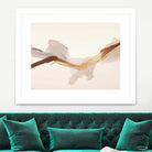 Freedom by Alma on GIANT ART - 12161 photography