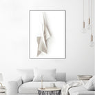 White Elegance by Jenja Braun on GIANT ART - flowers and plants minimalist-art