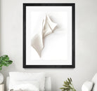 Folded Whispers by Jenja Braun on GIANT ART - flowers and plants minimalist decor