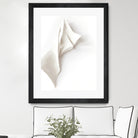 Folded Whispers by Jenja Braun on GIANT ART - flowers and plants minimalist decor