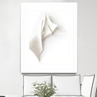 Folded Whispers by Jenja Braun on GIANT ART - flowers and plants minimalist decor