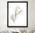 Folded Whispers by Jenja Braun on GIANT ART - flowers and plants minimalist decor