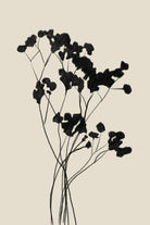 Modern Plant by THE MIUUS STUDIO on GIANT ART -  black