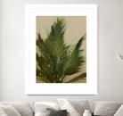 Palm by Dan Hobday on GIANT ART -  hiddentropics