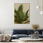 Palm by Dan Hobday on GIANT ART -  hiddentropics