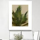 Palm by Dan Hobday on GIANT ART -  hiddentropics