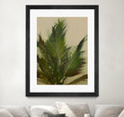 Palm by Dan Hobday on GIANT ART -  hiddentropics