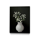 PUUID-PX3221773_CFB1824