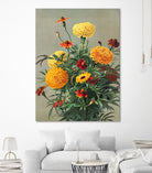 Marigolds by Ellen Thayer Fisher on GIANT ART - illustration ellen thayer fisher