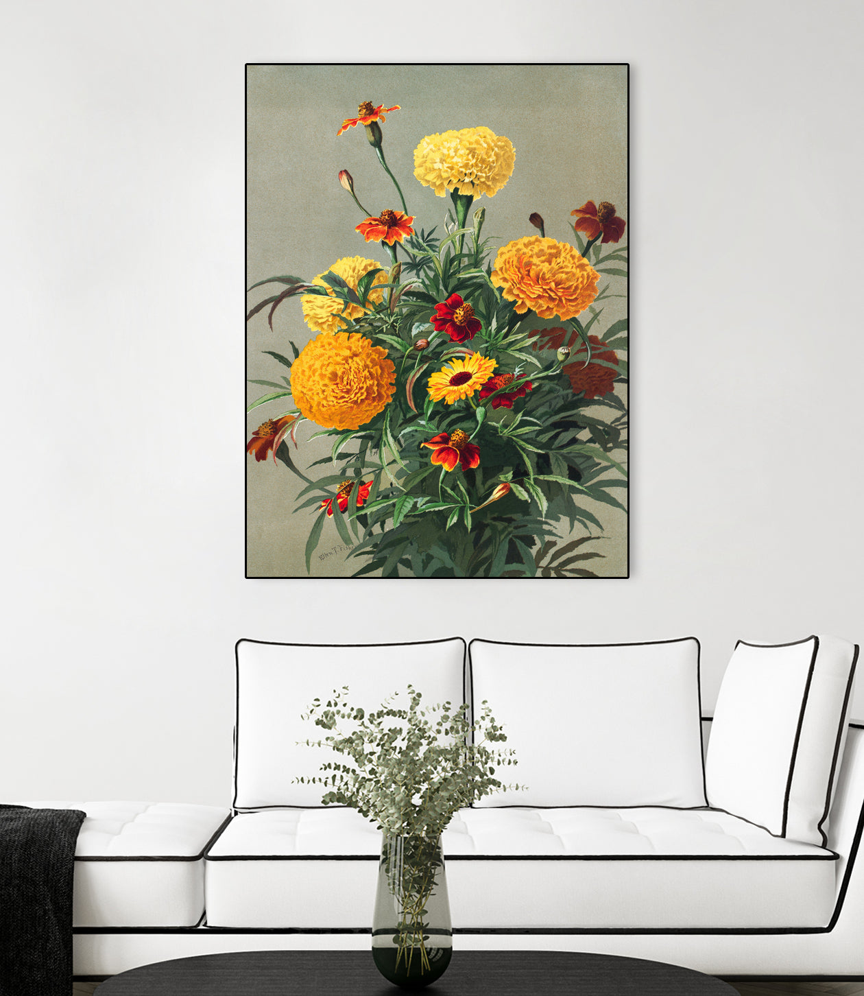 Marigolds by Ellen Thayer Fisher on GIANT ART - illustration ellen thayer fisher