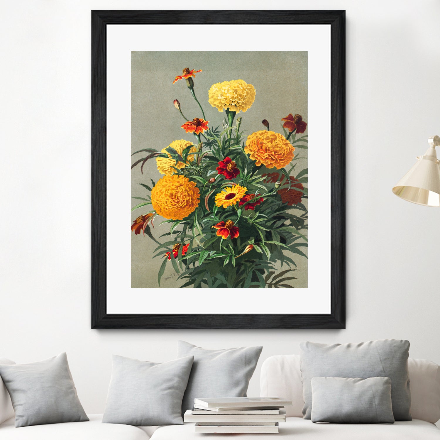 Marigolds by Ellen Thayer Fisher on GIANT ART - illustration ellen thayer fisher