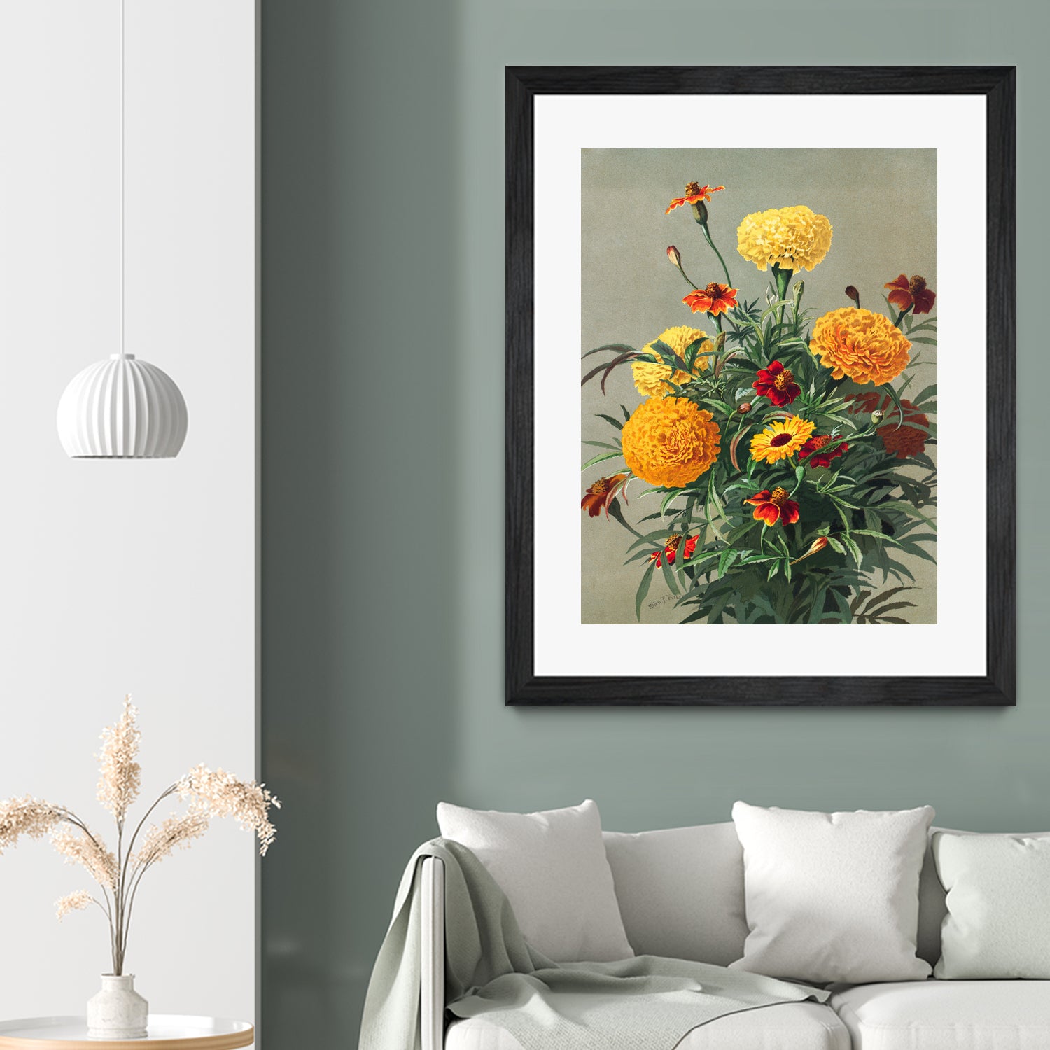Marigolds by Ellen Thayer Fisher on GIANT ART - illustration ellen thayer fisher