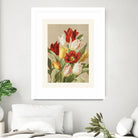 Tulips By Ellen Thayer Fisher by Pictufy on GIANT ART - illustration 