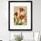 Tulips By Ellen Thayer Fisher by Pictufy on GIANT ART - illustration 