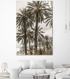 Sicilian Memories 17 by Mareike Bohmer on GIANT ART -  botany