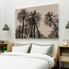 Sicilian Memories 15 by Mareike Bohmer on GIANT ART -  palm