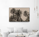 Sicilian Memories 15 by Mareike Bohmer on GIANT ART -  palm