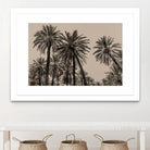 Sicilian Memories 15 by Mareike Bohmer on GIANT ART -  palm