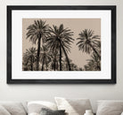 Sicilian Memories 15 by Mareike Bohmer on GIANT ART -  palm