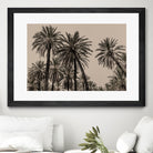 Sicilian Memories 15 by Mareike Bohmer on GIANT ART -  palm