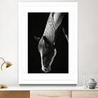 Quiet Strength by Frank Ma on GIANT ART - horse photography horse