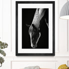 Quiet Strength by Frank Ma on GIANT ART - horse photography horse