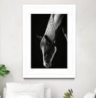 Quiet Strength by Frank Ma on GIANT ART - horse photography horse