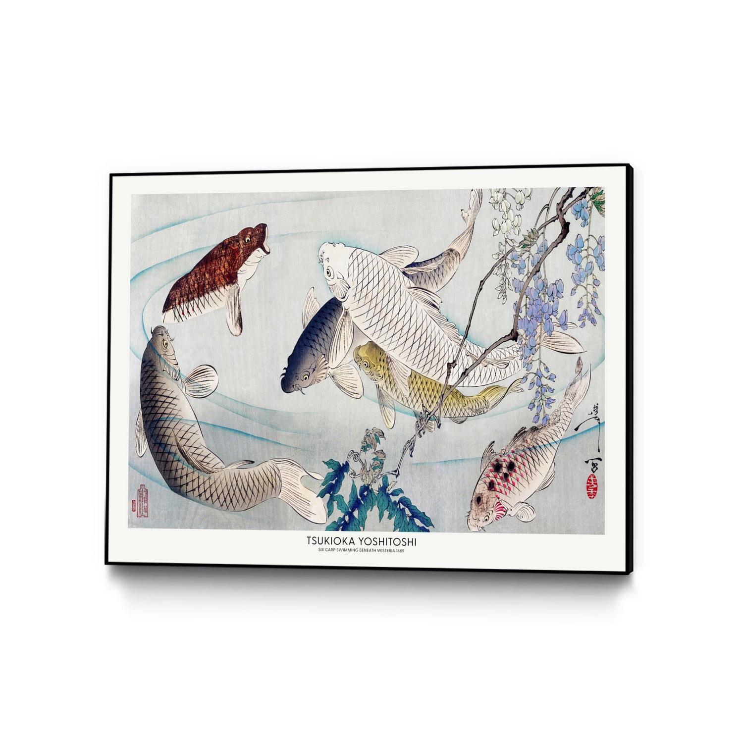 PUUID-PX3448983_CFB3224