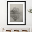 Swan lake by By PEJ on GIANT ART -  botanical 