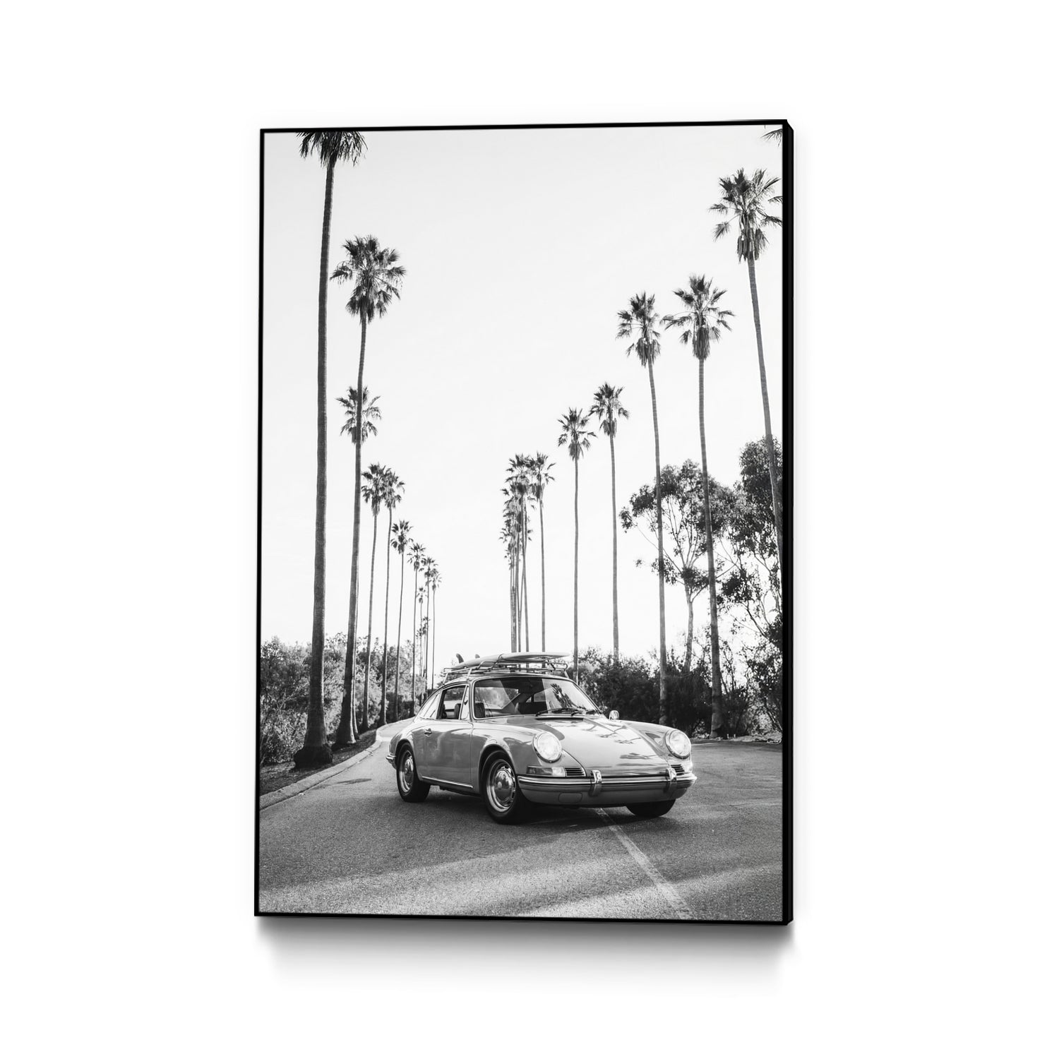 PUUID-PX3461067_CFB2436