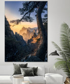Forests towering over endless mountains by Yuan Cui on GIANT ART -  photography 