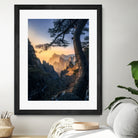 Forests towering over endless mountains by Yuan Cui on GIANT ART -  photography 