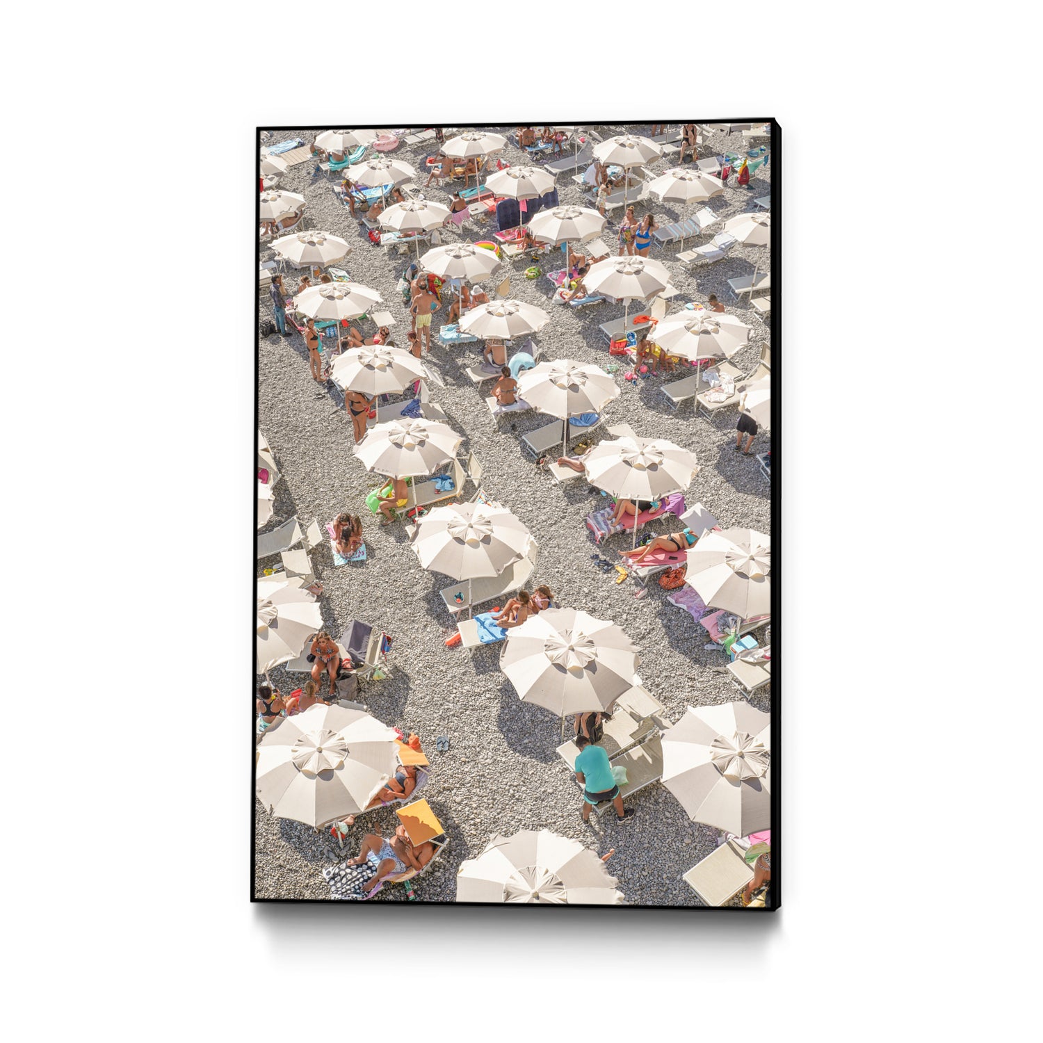 PUUID-PX3483528_CFB2436