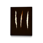 PUUID-PX3485763_CFB1824