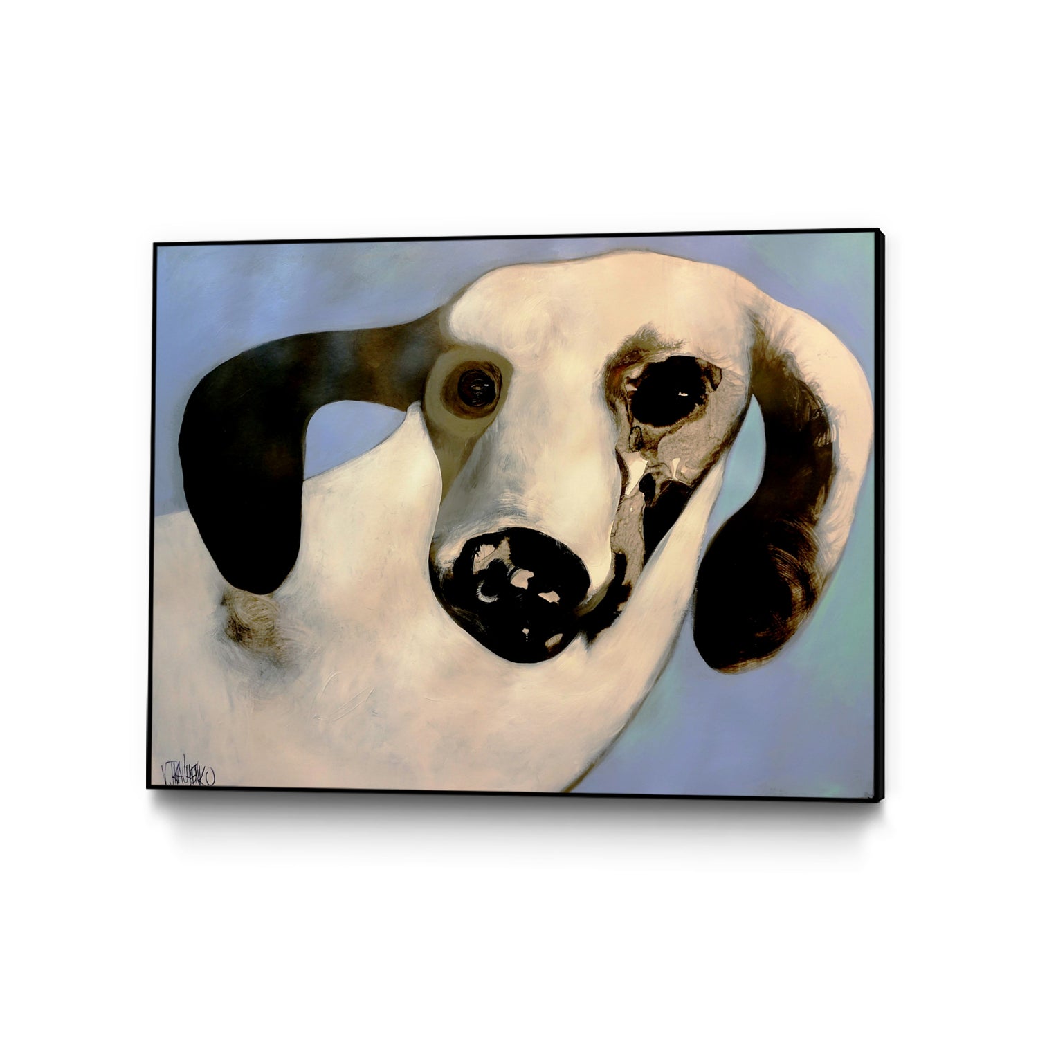 PUUID-PX3486314_CFB4030