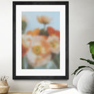 PUUID-PX3510405_MFB2432