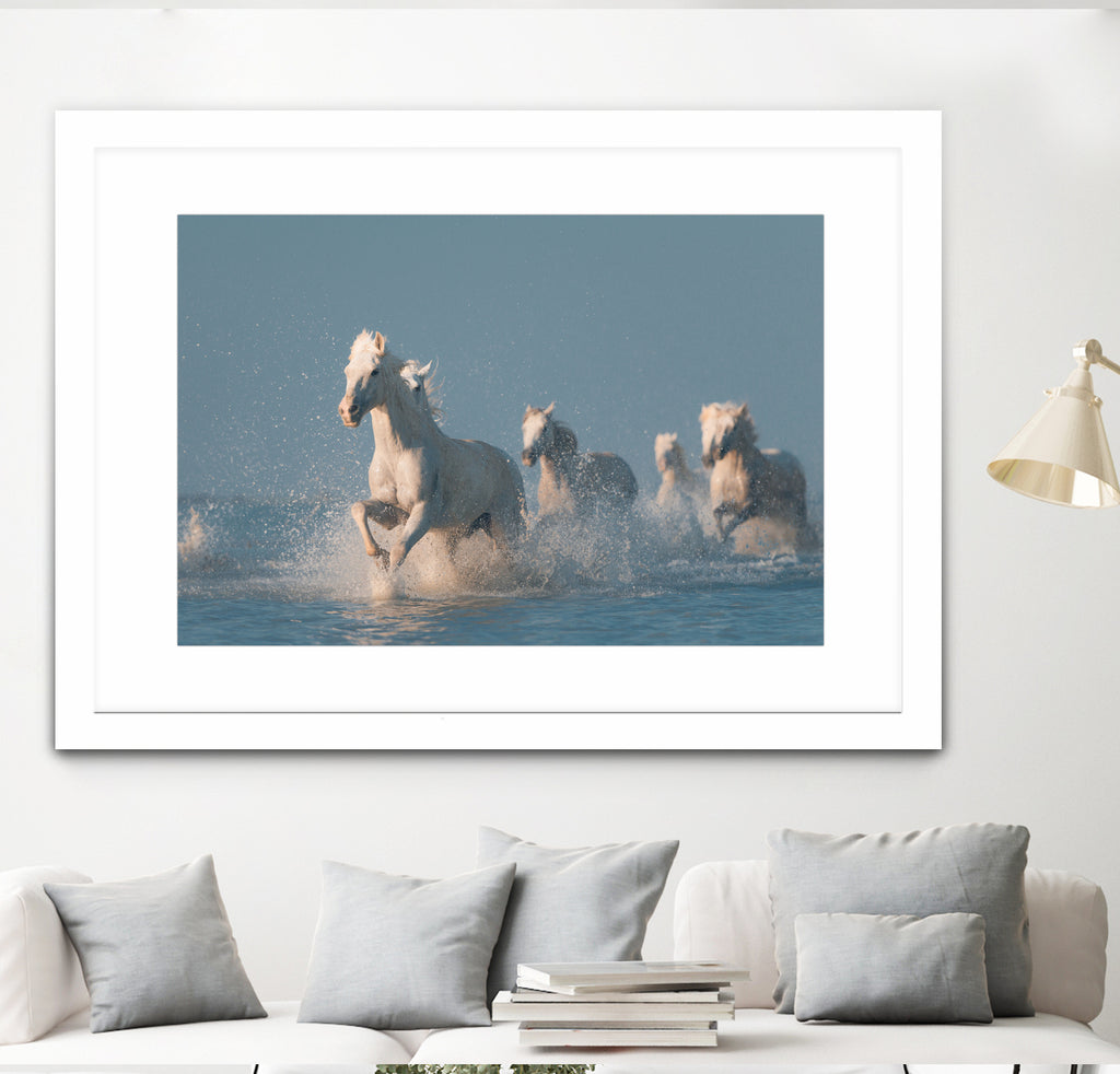 Angels of Camargue by Rostovskiy on GIANT ART - animals horse