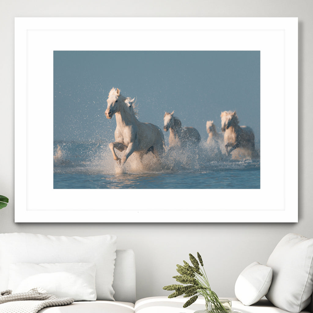 Angels of Camargue by Rostovskiy on GIANT ART - animals horse