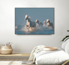 Angels of Camargue by Rostovskiy on GIANT ART - animals horse