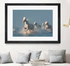 Angels of Camargue by Rostovskiy on GIANT ART - animals horse