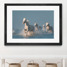 Angels of Camargue by Rostovskiy on GIANT ART - animals horse