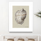 Shell on Burlap I by Lanie  Loreth on GIANT ART - coastal shell