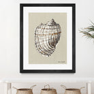 Shell on Burlap I by Lanie  Loreth on GIANT ART - coastal shell