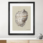 Shell on Burlap I by Lanie  Loreth on GIANT ART - coastal shell