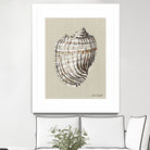 Shell on Burlap I by Lanie  Loreth on GIANT ART - coastal shell