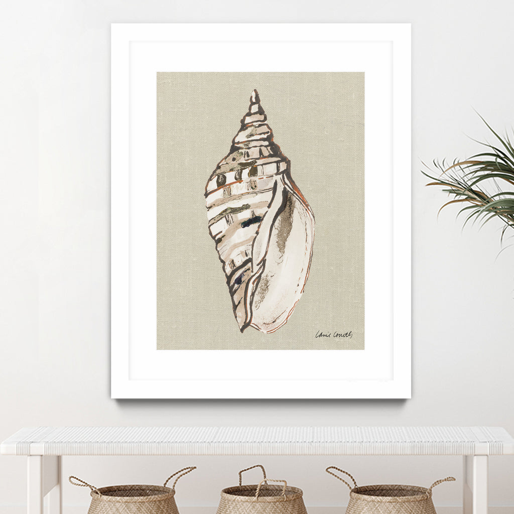 Shell on Burlap II by Lanie  Loreth on GIANT ART - coastal shell