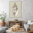 Shell on Burlap II by Lanie  Loreth on GIANT ART - coastal shell