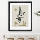 Lake Meditation l by Victoria Barnes on GIANT ART - animals nature birds