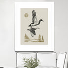 Lake Meditation l by Victoria Barnes on GIANT ART - animals nature birds