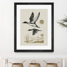 Lake Meditation ll by Victoria Barnes on GIANT ART - animals nature birds